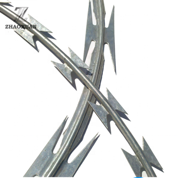 Wire con rasoio con rasoio galvanizzato