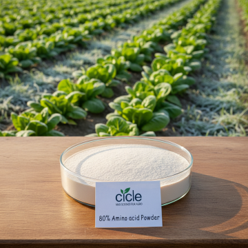 High Purity Amino Acid 80% for Biostimulant Use