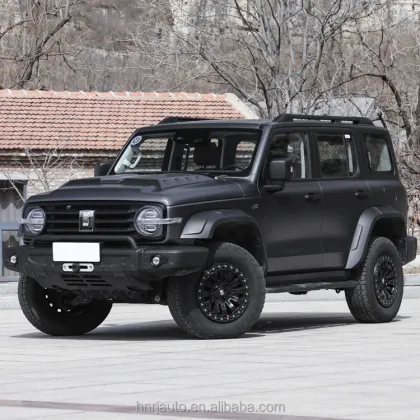 2024 Gwm Great Wall Off Road SUV TANK300 Petrol Car 2.0t 5set L4 Vehicles 4x4 Gwm TANK300 CAR