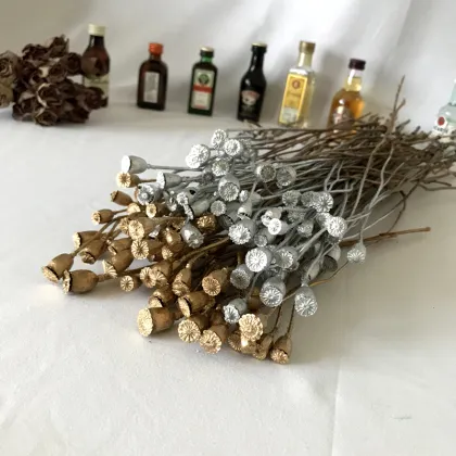 Wholesale Natural Dried Preserved Poppy Fruit for Wedding Decor