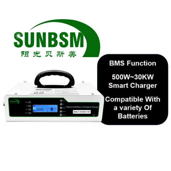 24V 720W Portable Fast Charging Battery Charger with WIFI RS485 Automatic Stop for EV Cars and Trucks