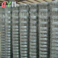 /msite/products/detail/productid/62697588/id/1509163.html