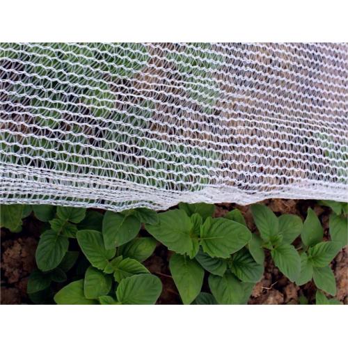 Garden Fine Mesh Insect Net Flower protection agricultural insect net Supplier