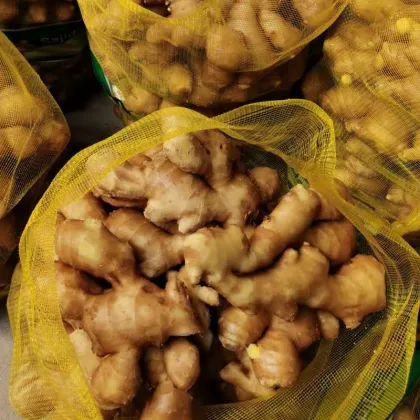 Ginger Fresh Ginger Dry Ginger Semi-Dry Ginger