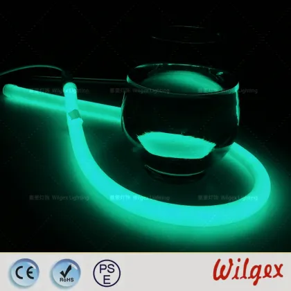 Circle LED flex tube