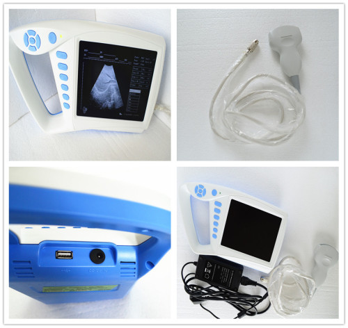 Verterinary Instrusment, Sheep Pregnancy Scanner Price, Newest Animal Ultrasound Machine for Sale