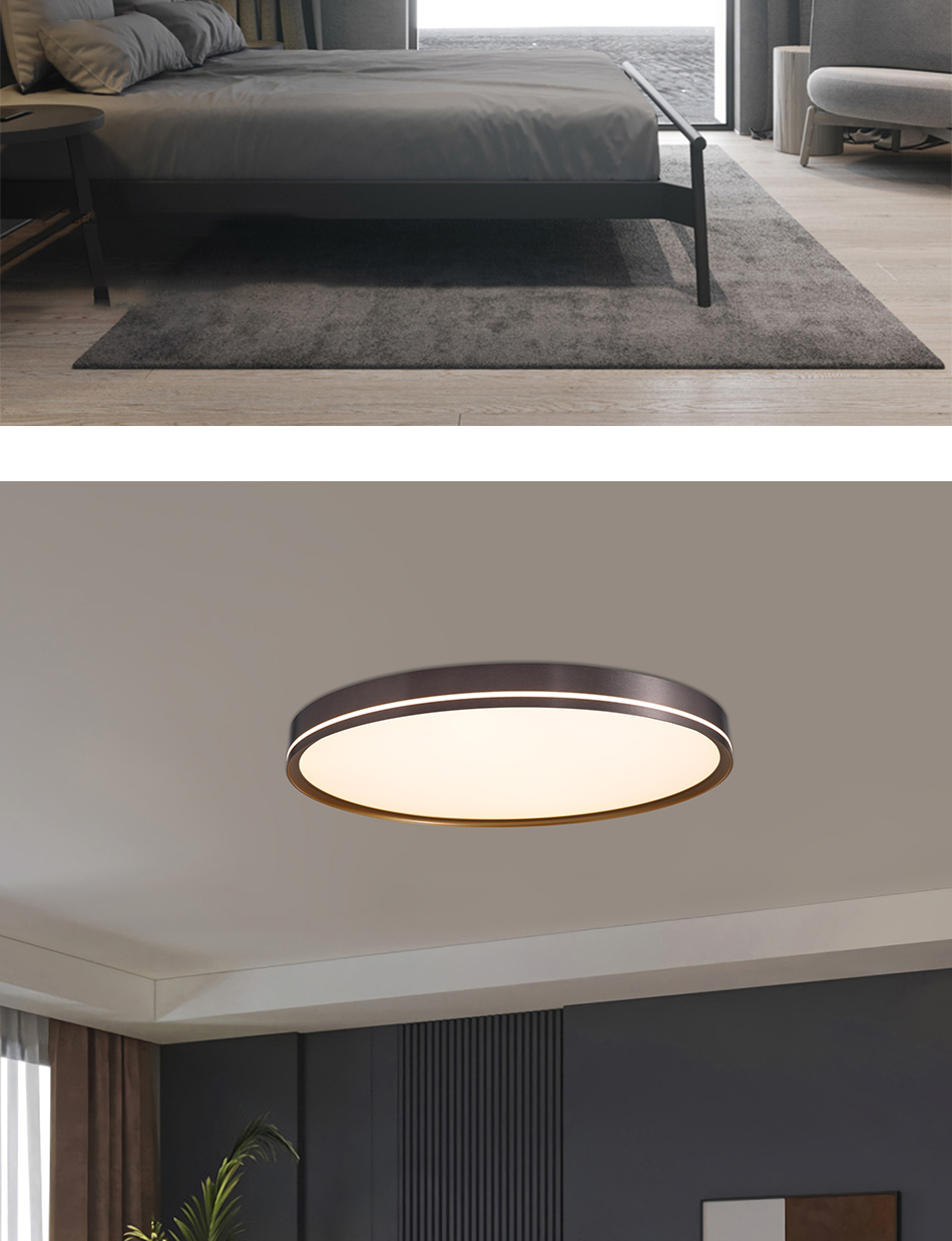 Ceiling Light 0527 (7)