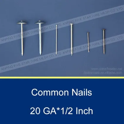 umbrella nail/roofing nails/ galvanized roofing nails