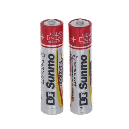 Long Discharge Time AAA Alkaline Batteries with OEM Service