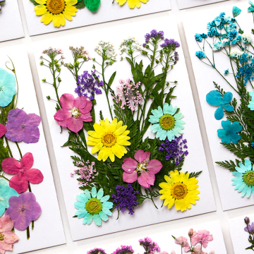 Intodiy Großhandel getrocknete Blumen und Harzzubehör