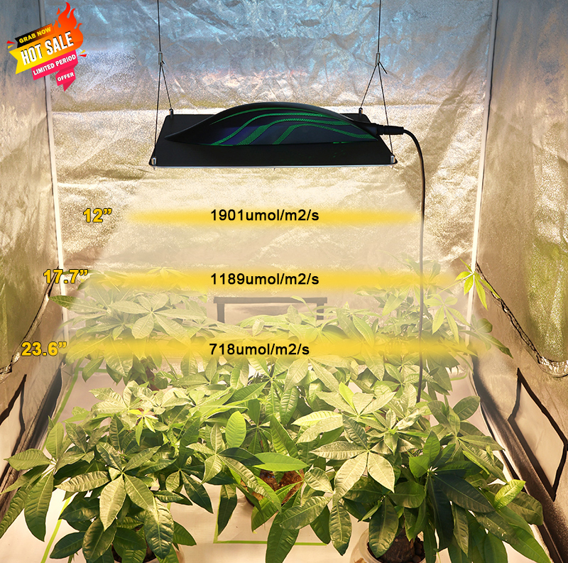 320w Led Grow Light 23 1