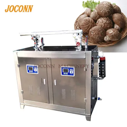 Biomass Pellet Steam Generator: Electric and Gas Steam Solutions