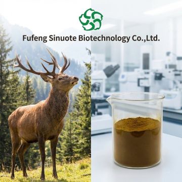 Premium Deer Whip Extract for Enhanced Vitality and Wellness