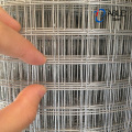 Square Welded Wire Mesh Fencing for Building Material