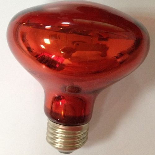 Repti Red Nightlight