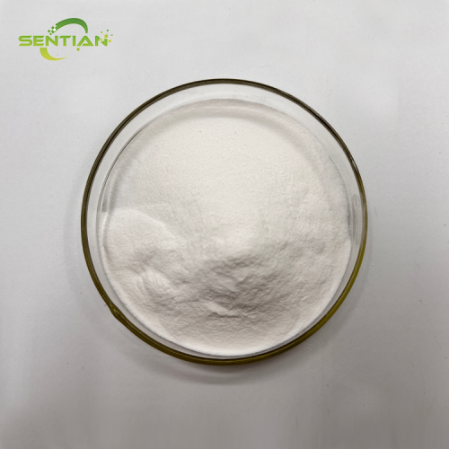 HIGH QUALITY FISH COLLAGEN EXTRACT