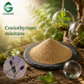 Coniothyrium Minitans Spore Powder فطريات التحكم البيولوجي