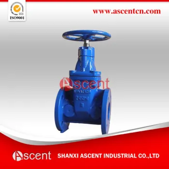 2" inch gate valve