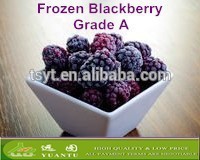 Competitive Price and Top Quality Frozen Blackberry