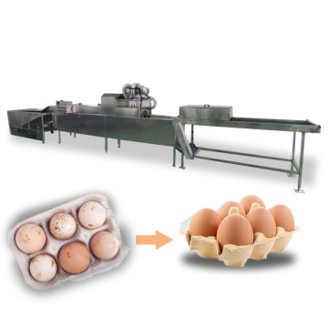 Mini Egg Washing Machine and Chicken Egg Candling Machine Malaysia Price