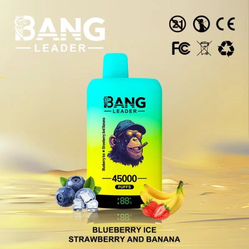 Bang Leader 45K Vape Pen Wholesale Latvia
