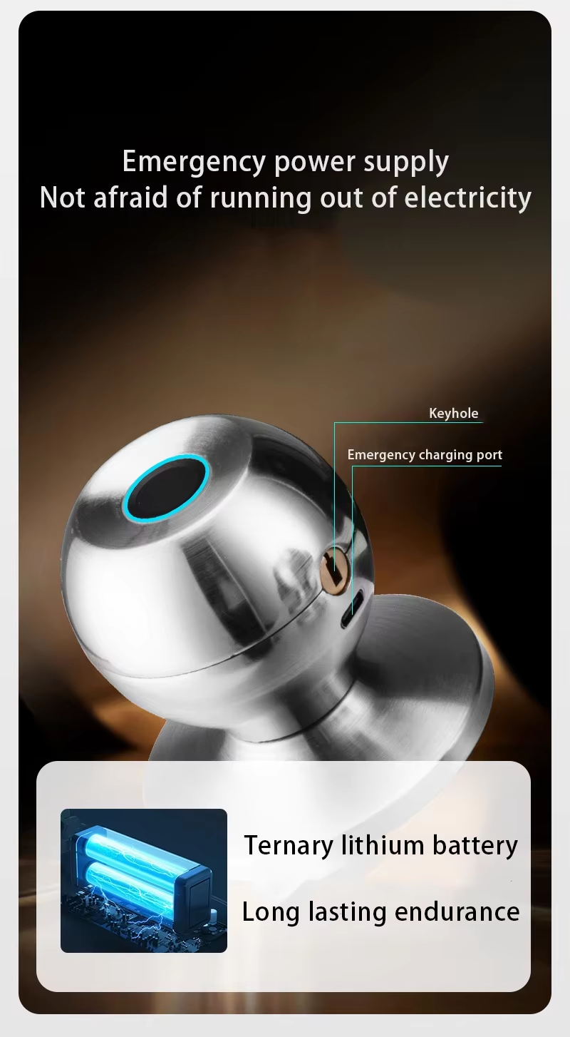14 Fingerprint knob lock