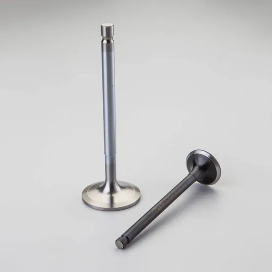 Factory Direct Engine Valve Set for Toyota 1TR & 2TR Models: Quantum Intake and Exhaust Valves