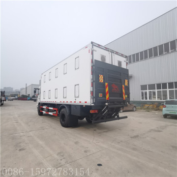 DONGFENG baby chick truck with 8 m body