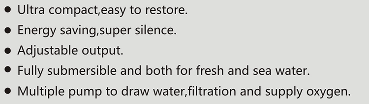 Sunsun Mico 12v Dc Maliit na Murang High Pressure Home Water Pump