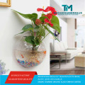 Pote elegante de acrílico transparente com design de aquário