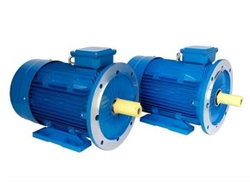 XTPMP180L30-30 Permanent magnet motor