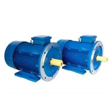 Moteur à aimant permanent XTPMP180L30-30