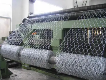Hexagonal Chicken Wire Mesh