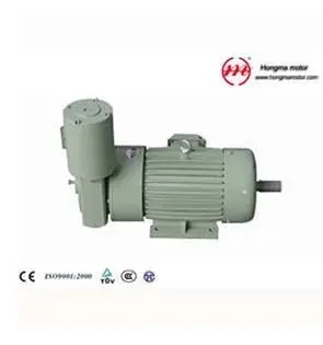 Td100L-6 Series of Duble Speed Brake Motors (Brake with Electricity)