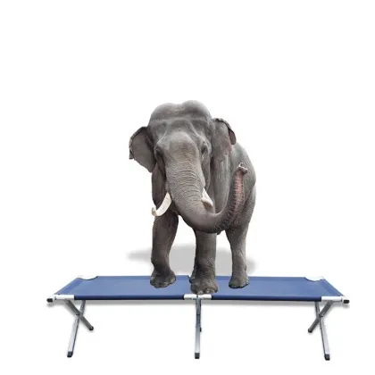 Reinforced Foot Pads Camping Cot: Portable Folding Bed for Outdoors