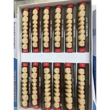 Full Set Synthetic Polymer Acrylic teeth denture