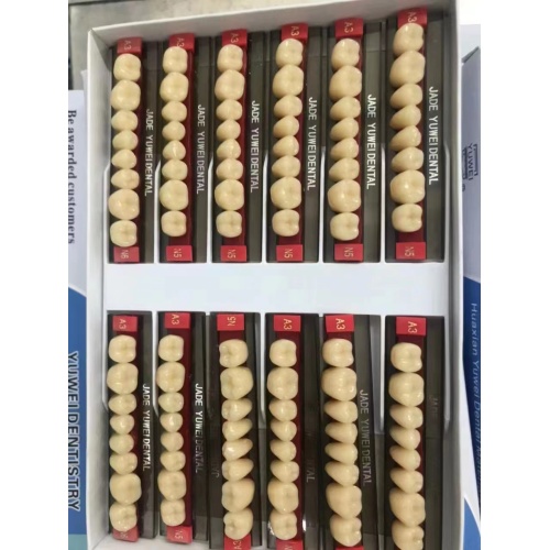 Polímero sintético de conjunto completo Dientes acrílicos dentaduras dentadas