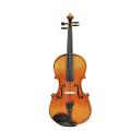 Estudante profissional pratica viola tamanho completo 14 &#39;&#39; - 17 &#39;&#39;