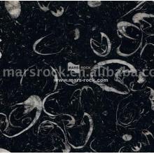 Testacean Fossi Marble