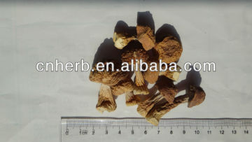 Dried Agaricus Blazei Murrill mushroom