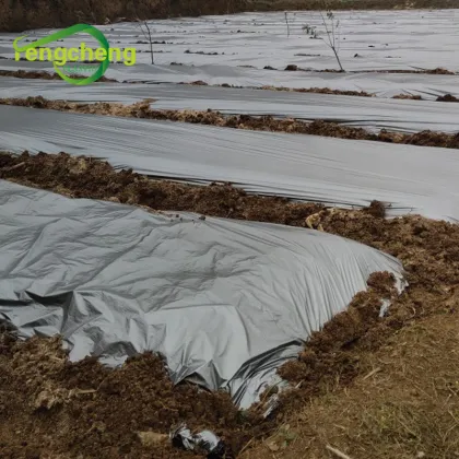 garden vegetables weed barrier mulch film
