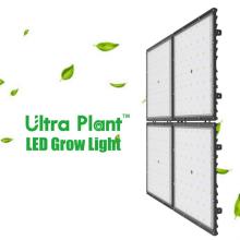 300W LED البستانية تنمو أضواء للزراعة