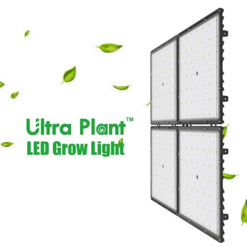 Luzes de cultivo LED reguláveis ​​de 300 W para plantas de interior