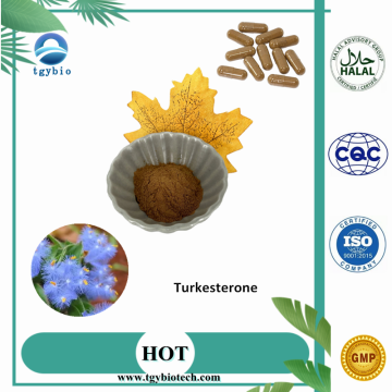 Polvere turkesterone al bodybuilding al 100% 2% -10%