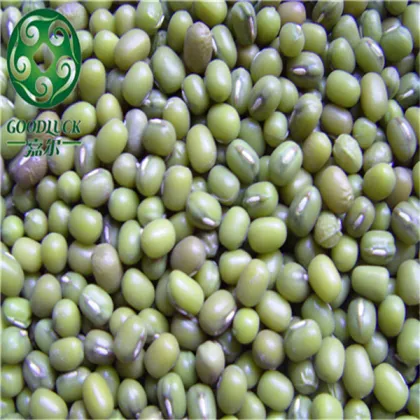 Green Mung Bean for germinating