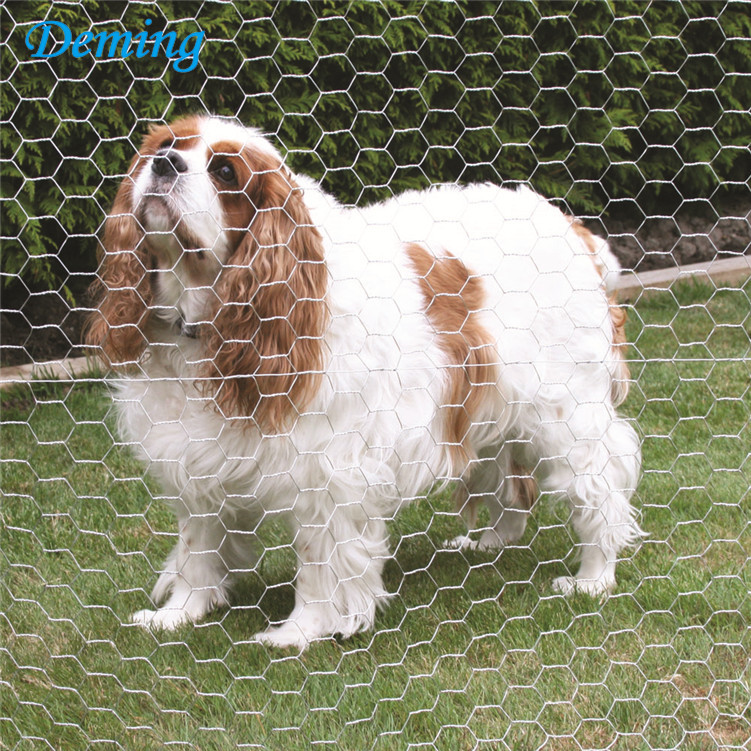 galvanized wire mesh chicken coop poultry fencing