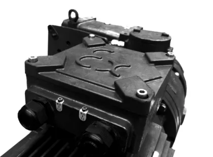 Explosion Proof Electric Hoist