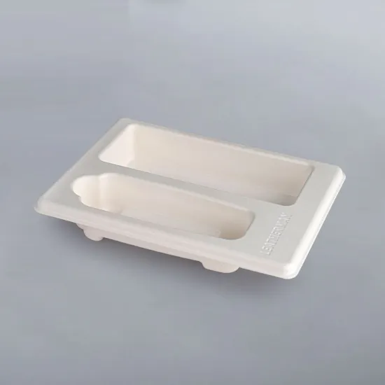 Biodegradable Sugarcane Paper Pulp Tray Packaging Insert