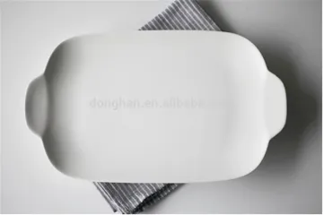 High quality white oblong shape baking pan