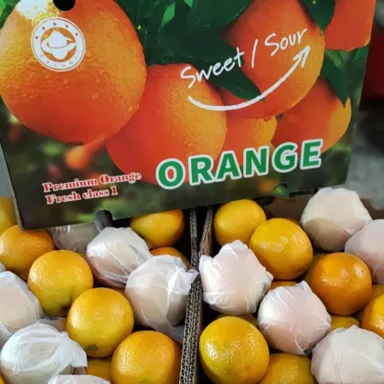 Mandarin Navel Fresh Mandarin Oranges